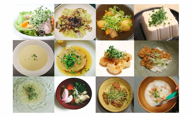 スプラウト料理