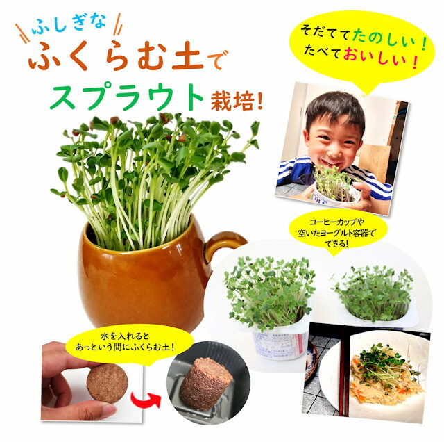 おうちでミニベジ