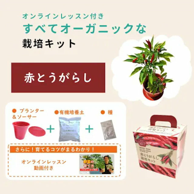 エコ栽培セット