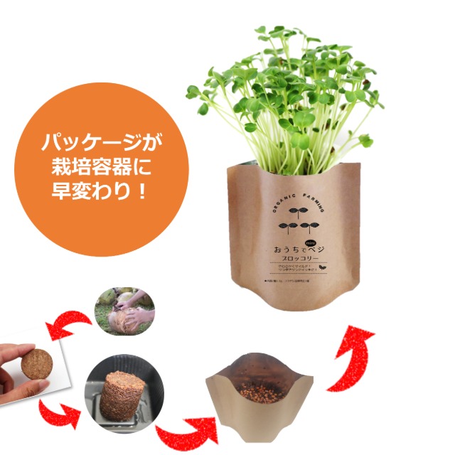 パッケージが栽培容器