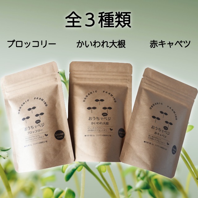 スプラウトの種全3種類
