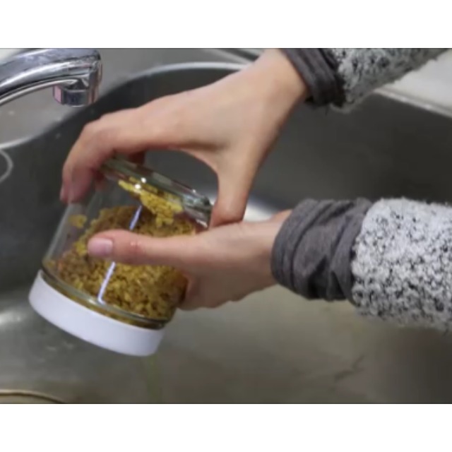 発芽豆キットの水を交換する