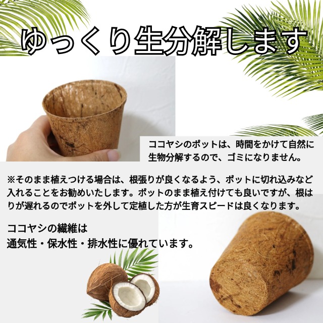 環境にやさしいポット