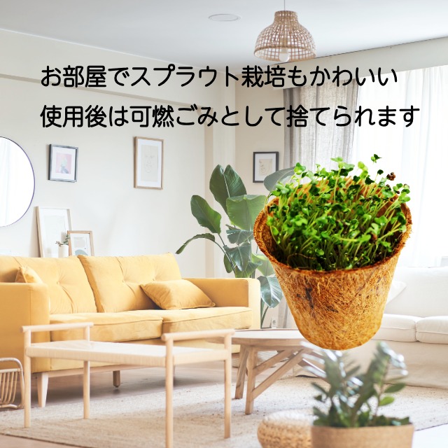 使用後は可燃ごみとして捨てられます