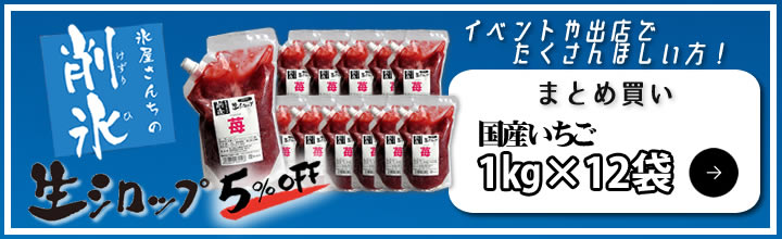 6955円 【SALE／64%OFF】 氷屋さんが作る国産シロップ