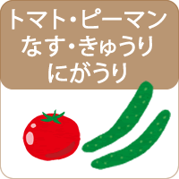 トマト・なす・きゅうり・ピーマンの種