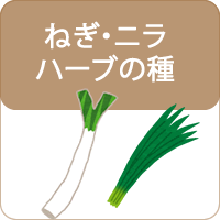 ねぎ・にら・ハーブ・花の種