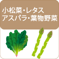 小松菜・レタス・アスパラ・葉物の種