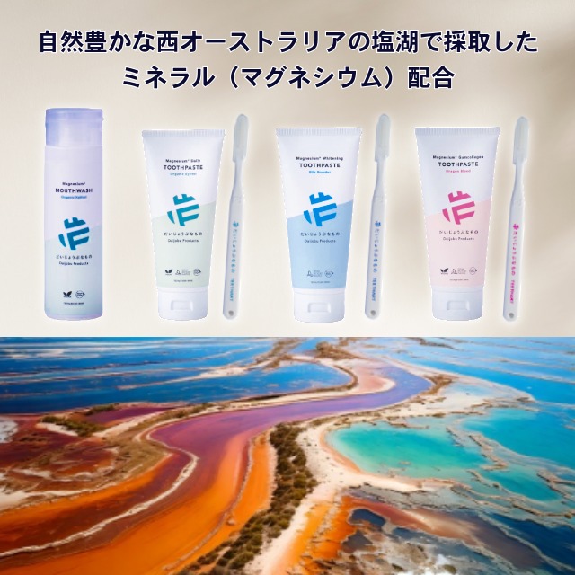 だいじょうぶなものの特徴