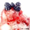 【冷蔵】氷屋さんちの削氷〔けずりひ〕生シロップいちご250g