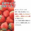 天然フルーツのかき氷シロップ氷屋さんちの削氷〔けずりひ〕生シロップ国産いちご250g【冷凍】