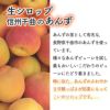 天然フルーツのかき氷シロップ氷屋さんちの削氷〔けずりひ〕生シロップ信州千曲のあんず250g【冷凍】