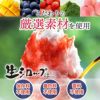 天然フルーツのかき氷シロップ【冷凍】氷屋さんちの削氷〔けずりひ〕生シロップ信州りんご〔紅玉〕250g