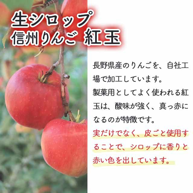 天然フルーツのかき氷シロップ氷屋さんちの削氷〔けずりひ〕生シロップ信州りんご〔紅玉〕250g【冷凍】