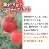 天然フルーツのかき氷シロップ氷屋さんちの削氷〔けずりひ〕生シロップ信州りんご〔紅玉〕250g【冷凍】