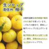 天然フルーツのかき氷シロップ氷屋さんちの削氷〔けずりひ〕生シロップ南信州柚子250g【冷凍】