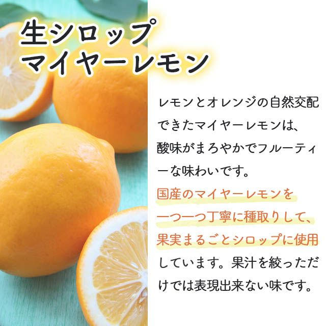 【5%OFF】天然フルーツのかき氷シロップ氷屋さんちの削氷〔けずりひ〕生シロップ国産いちご業務用1ケース〔1kg×12袋入〕【送料当店負担】【冷凍】※通常品との同梱不可