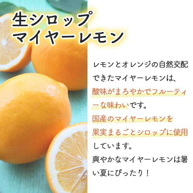 天然フルーツのかき氷シロップ氷屋さんちの削氷〔けずりひ〕生シロップ国産マイヤーレモン250g【冷凍】