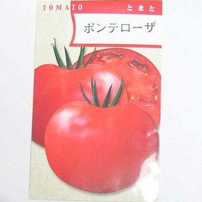 【国内採種/固定種】ポンテローザトマト1ml約80粒　畑懐〔はふう〕の種【メール便可】