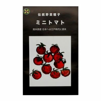 在来種/固定種/野菜のタネ「鷹の爪唐辛子0.5ml約40粒」畑懐〔はふう