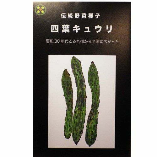 在来固定種野菜の種「四葉(スーヨー)きゅうり」2ml〔約40粒〕畑懐〔はふう〕