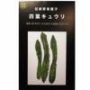 在来固定種野菜の種「四葉(スーヨー)きゅうり」2ml〔約40粒〕畑懐〔はふう〕