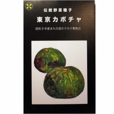 【国内採種/固定種】東京かぼちゃ15ml約20粒　畑懐〔はふう〕の種【メール便可】