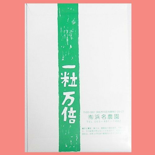 在来固定種野菜の種「花オクラ)」20ml〔約250粒〕畑懐〔はふう〕