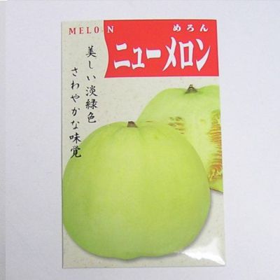 【国内採種/固定種】ニューメロンの種1ml(約40粒）　畑懐〔はふう〕の種【メール便可】
