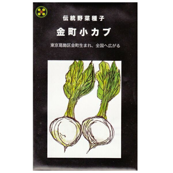 在来固定種野菜の種「金町小カブ」5ml〔約1560粒〕畑懐〔はふう〕