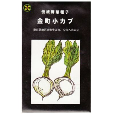 【国内採種/固定種】金町小カブの種5ml(約1200粒）　畑懐〔はふう〕の種【メール便可】