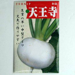 【固定種】天王寺カブの種5ml(約900粒）　畑懐〔はふう〕の種【メール便可】