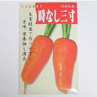 【固定種】時無し三寸人参の種5ml(約1800粒）　畑懐〔はふう〕の種【メール便可】