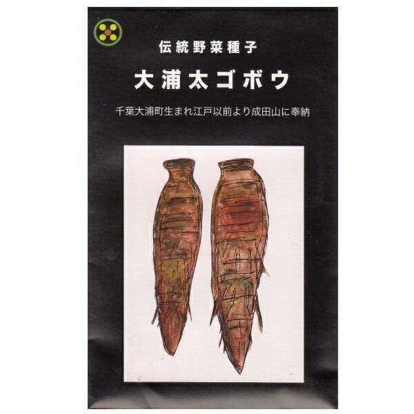 在来固定種野菜の種「大浦太ごぼう」10ml〔約450粒〕畑懐〔はふう〕