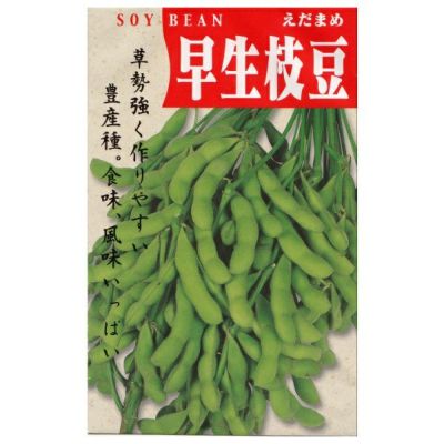 【国内採種/固定種】早生枝豆〔白老〕30ml約55粒　畑懐〔はふう〕の種【メール便可】