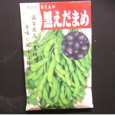 【国内採種/固定種】黒えだまめ〔黒錦枝豆〕30ml約55粒　畑懐〔はふう〕の種【メール便可】