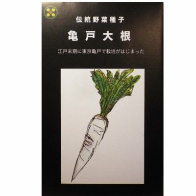 【固定種】亀戸大根の種5ml(約200粒）　畑懐〔はふう〕の種【メール便可】