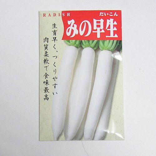 在来固定種野菜の種「みの早生大根」13ml〔約520粒〕畑懐〔はふう〕