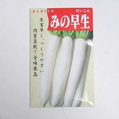 【固定種】みの早生大根5ml約160粒　畑懐〔はふう〕の種【メール便可】