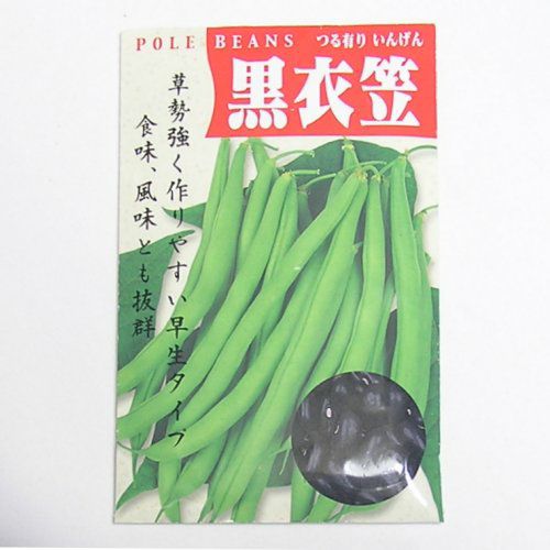 在来固定種野菜の種「黒衣笠つるありいんげん」30ml〔約85粒〕畑懐〔はふう〕