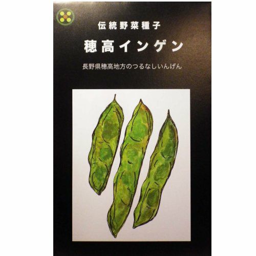 在来固定種野菜の種「カルナつるなし穂高いんげん」40ml〔約100粒〕畑懐〔はふう〕