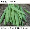 在来固定種野菜の種「カルナつるなし穂高いんげん」40ml〔約100粒〕畑懐〔はふう〕