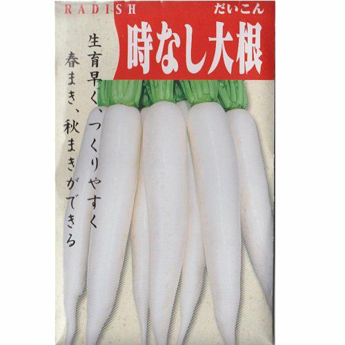 在来固定種野菜の種「京都時無し大根」10ml〔約870粒〕畑懐〔はふう〕