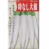 在来固定種野菜の種「京都時無し大根」10ml〔約870粒〕畑懐〔はふう〕