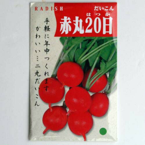 在来種/固定種/野菜のタネ「赤丸20日大根ラディッシュ5ml(約350粒）」畑懐〔はふう〕の種【メール便可】★