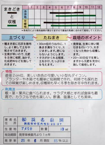 【新種入荷】在来固定種野菜の種「赤丸二十日大根〔ラディッシュ〕」10ml〔約650粒〕畑懐〔はふう〕