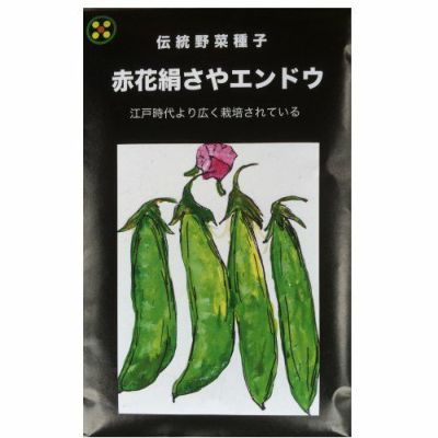 【国内採種/固定種】農薬化学肥料不使用赤花絹莢エンドウ（つるなし）の種15ml(約60粒）　畑懐〔はふう〕の種【メール便可】