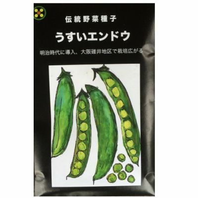【国内採種/固定種】農薬化学肥料不使用うすいエンドウの種20ml(約40粒）　畑懐〔はふう〕の種【メール便可】