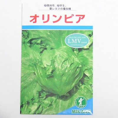 在来種/固定種/野菜のタネ「オリンピアレタス1ml約400粒」畑懐〔はふう〕の種【メール便可】