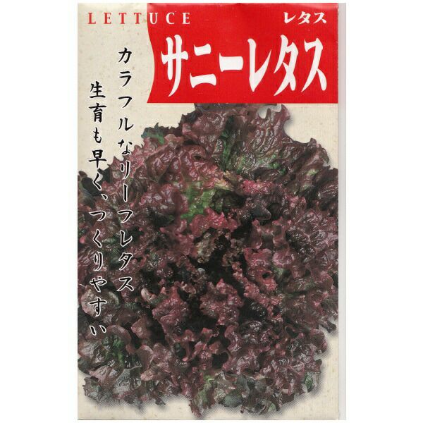 在来固定種野菜の種「サニーレタス〔リーフレタス〕」1ml〔約380粒〕畑懐〔はふう〕